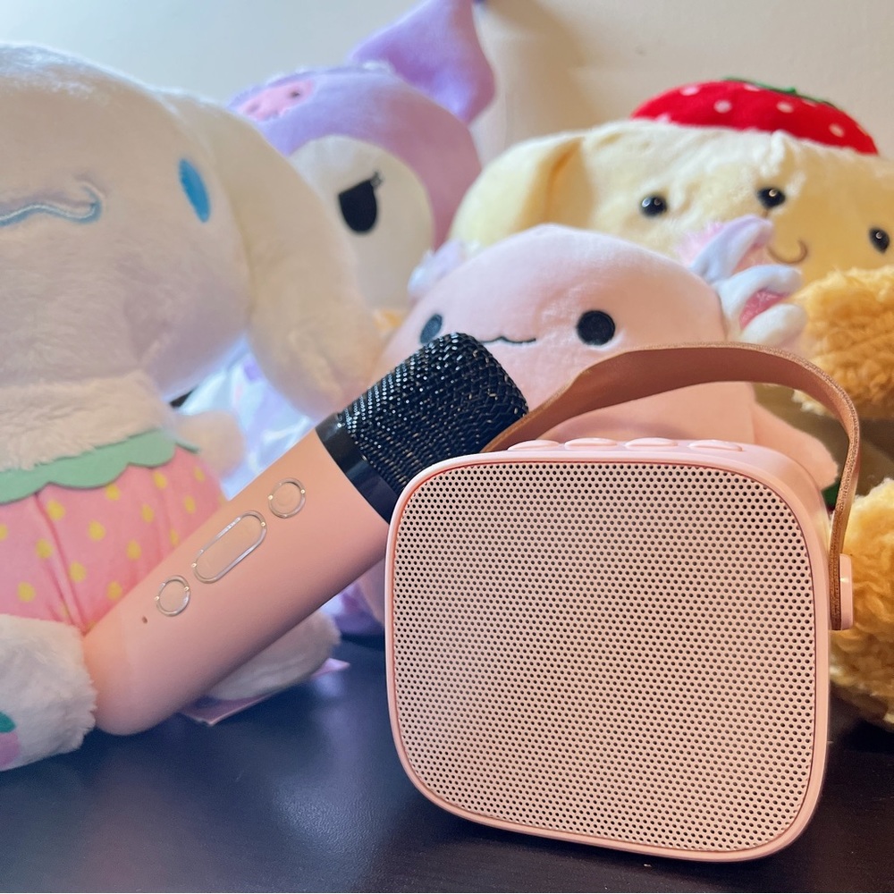 Wireless karaoke speaker